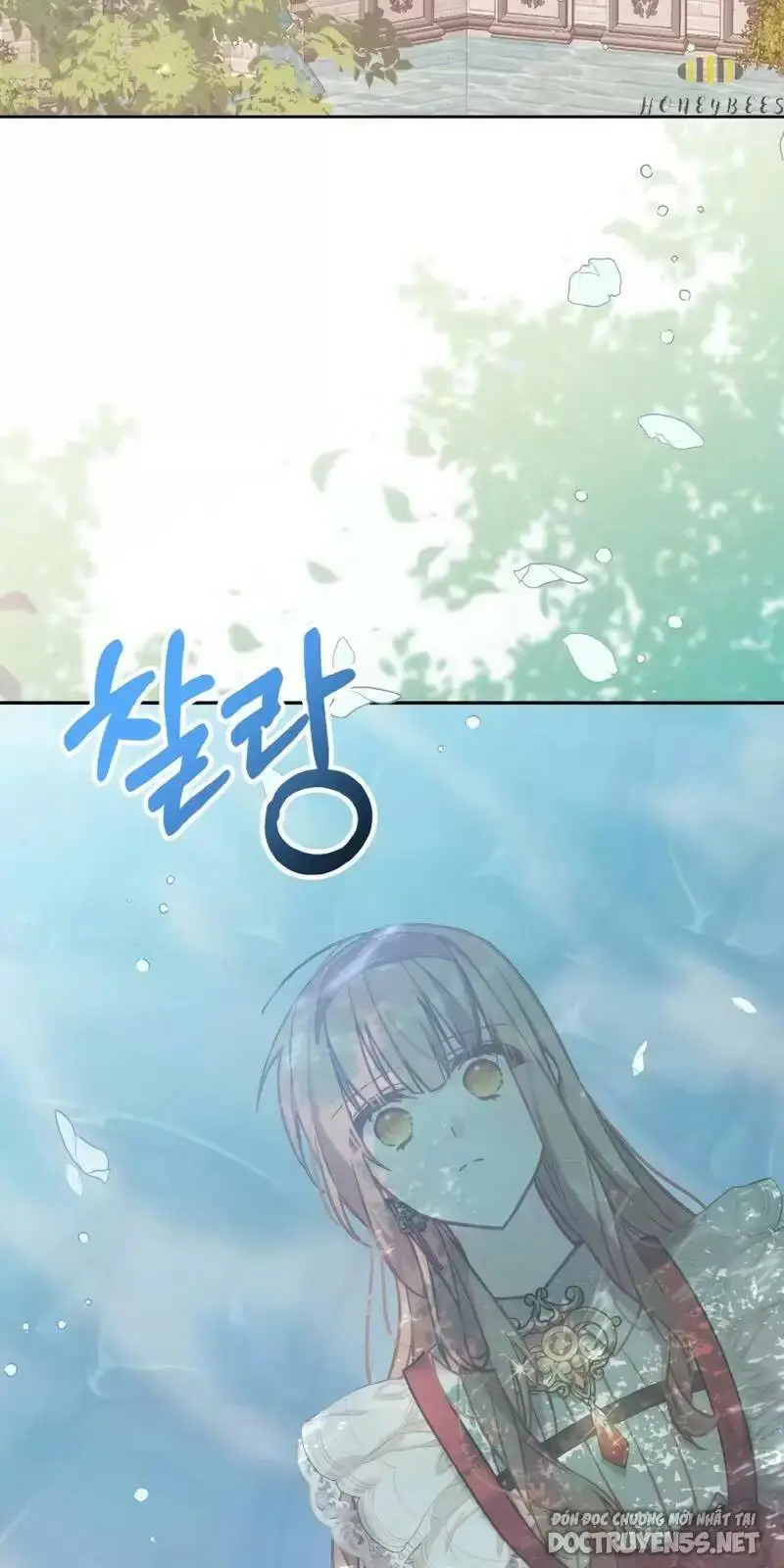 Chapter 17