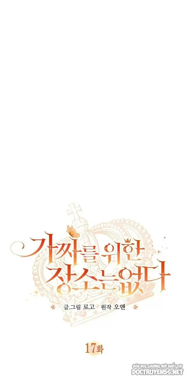 Chapter 17