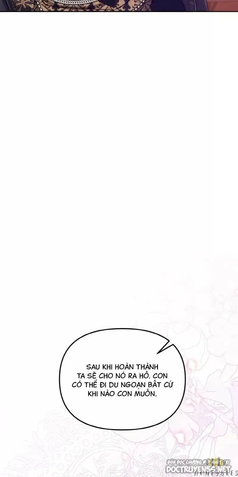 Chapter 17