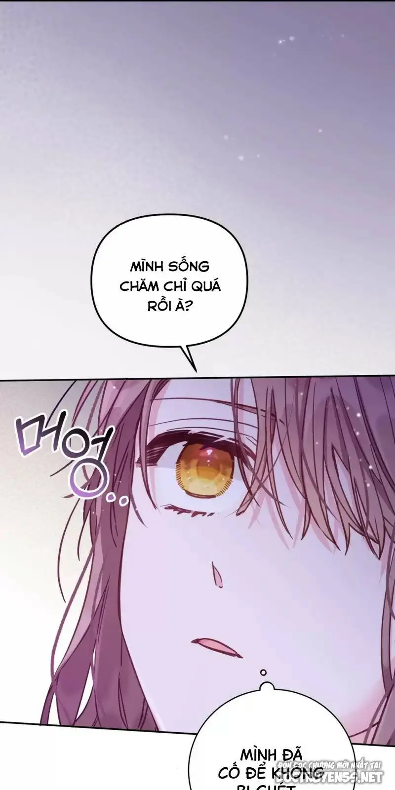 Chapter 16