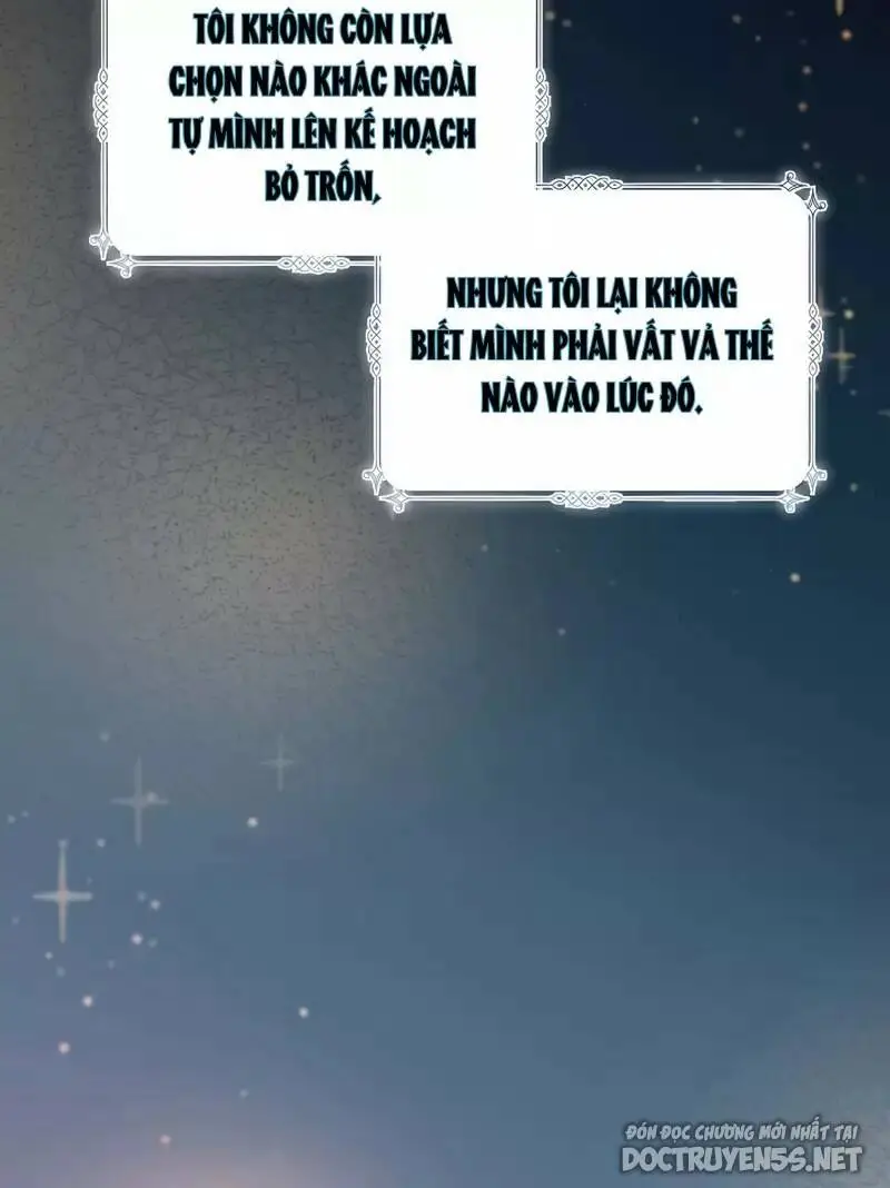 Chapter 16