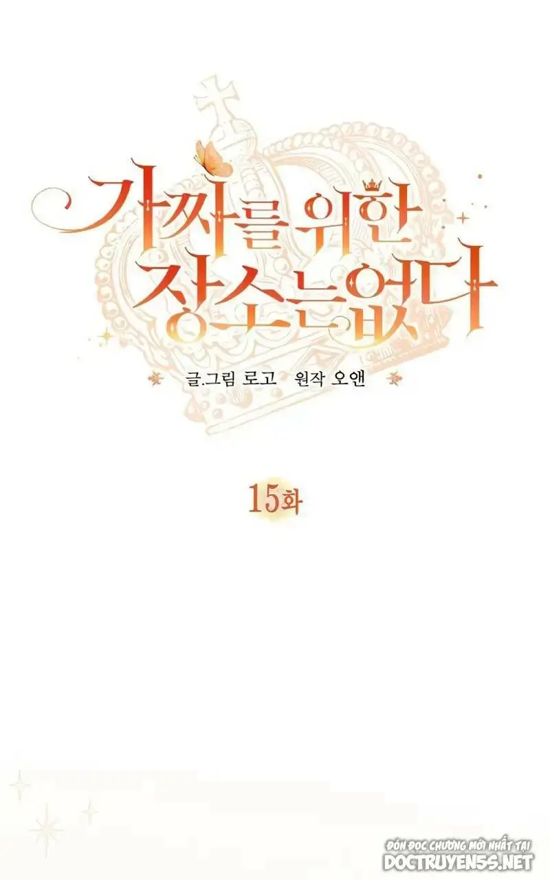 Chapter 15