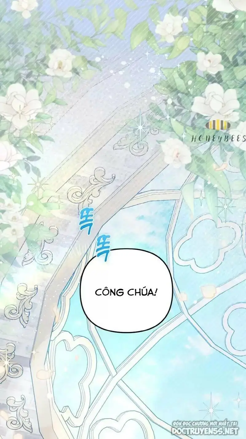 Chapter 14