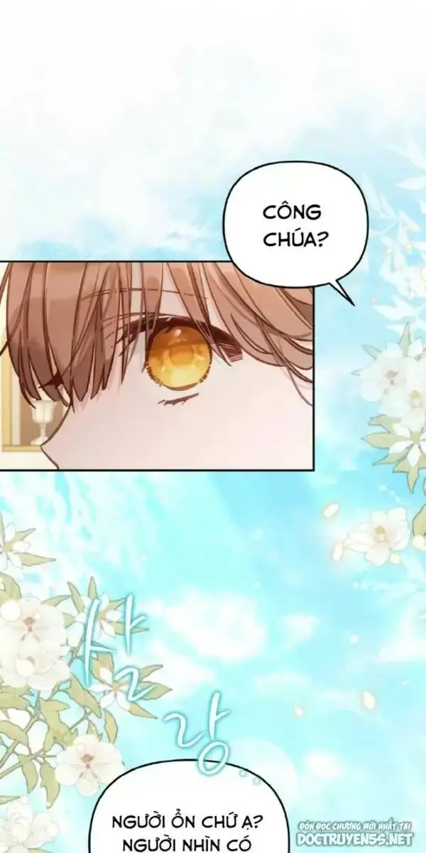 Chapter 13