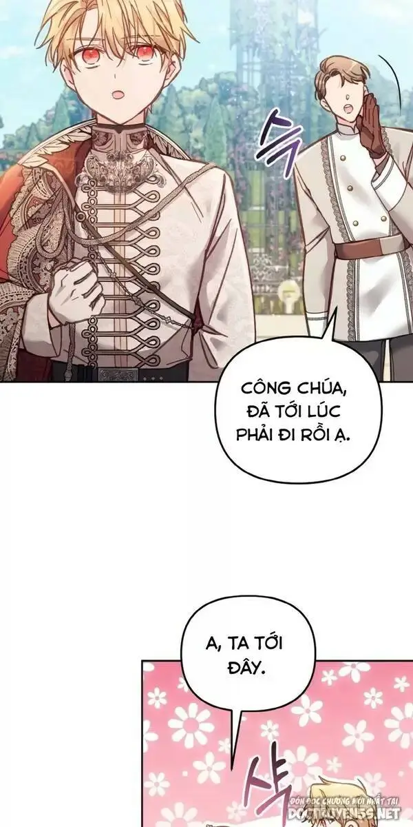 Chapter 13
