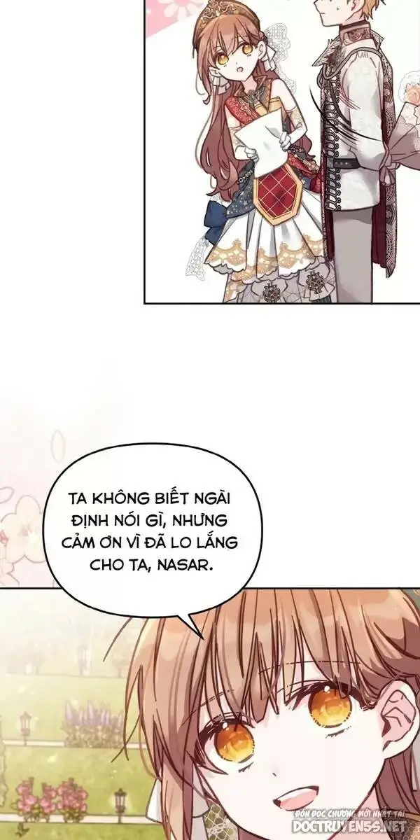 Chapter 13