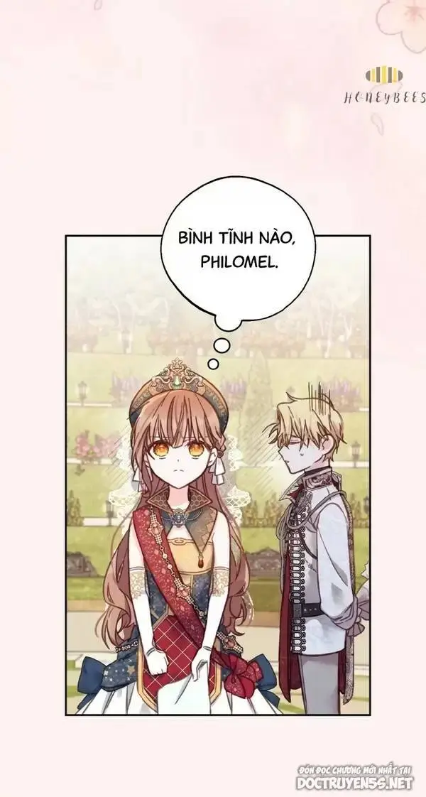 Chapter 13