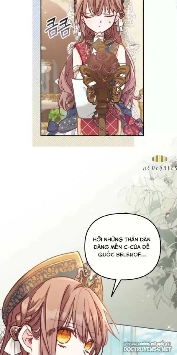 Chapter 13