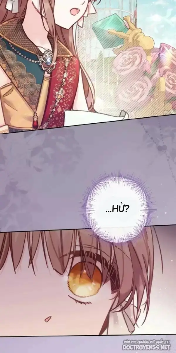Chapter 13