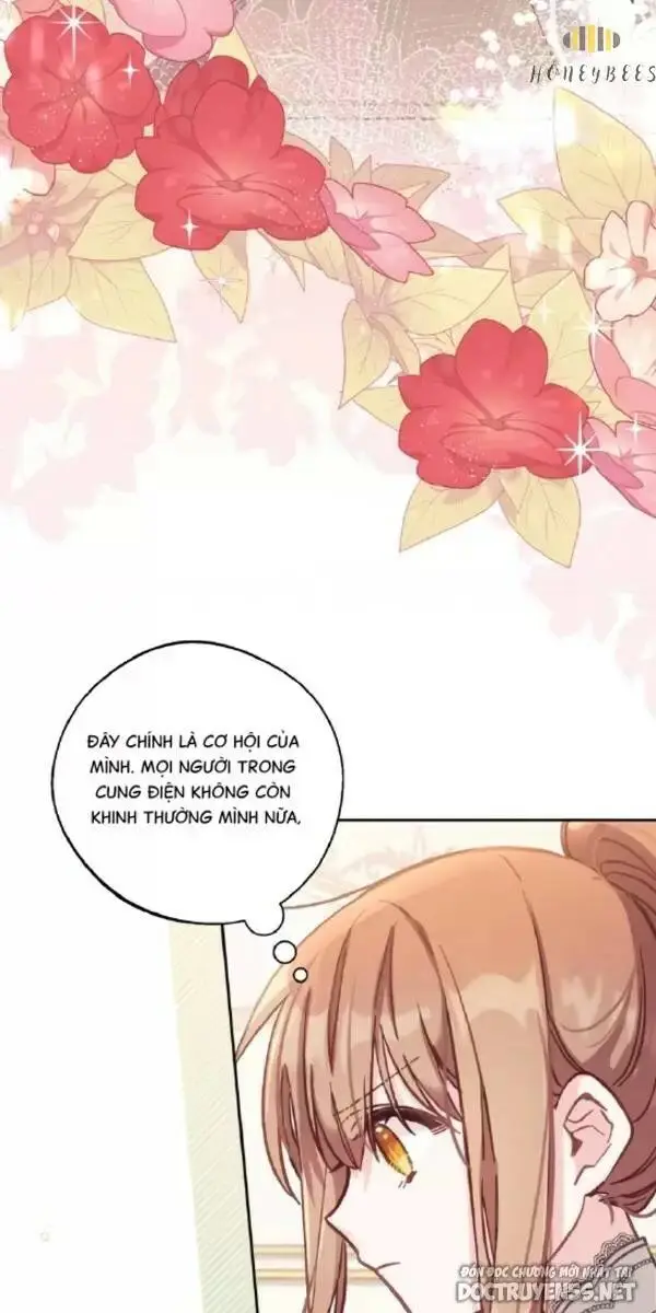 Chapter 13