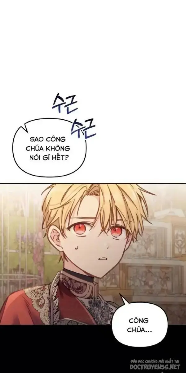 Chapter 13