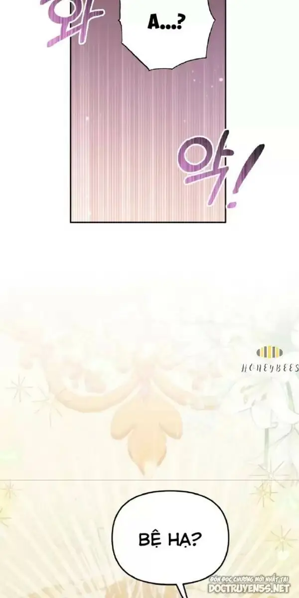 Chapter 13