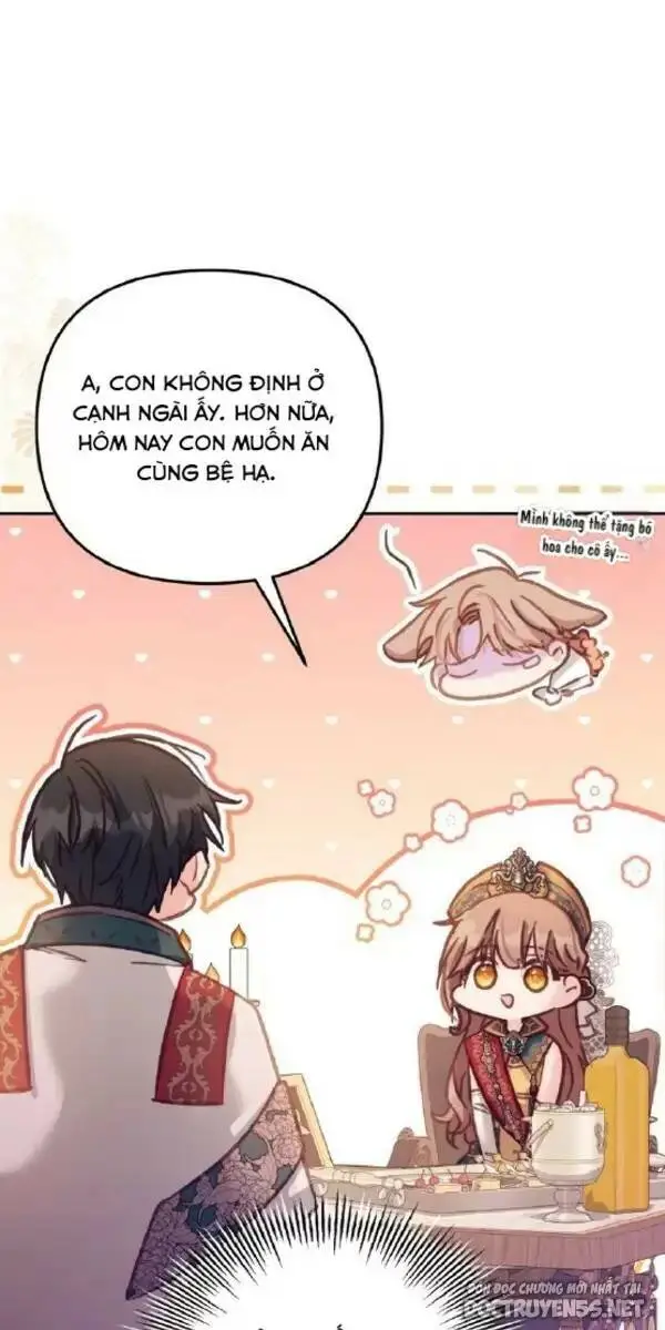 Chapter 13