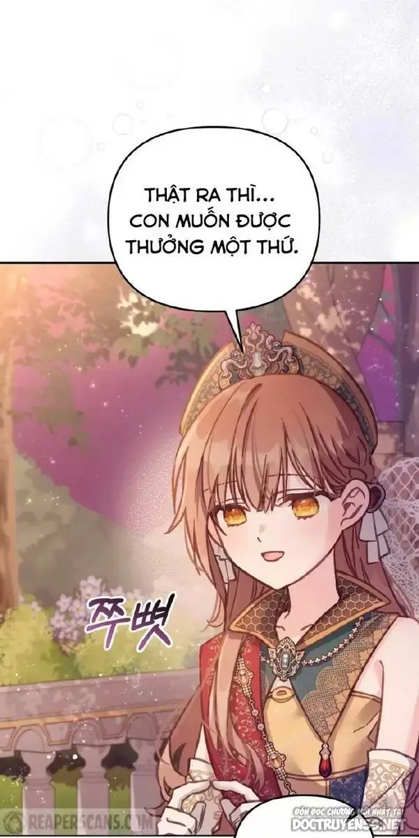 Chapter 13