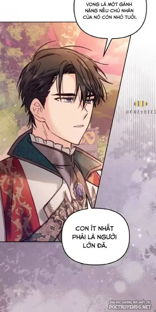 Chapter 13