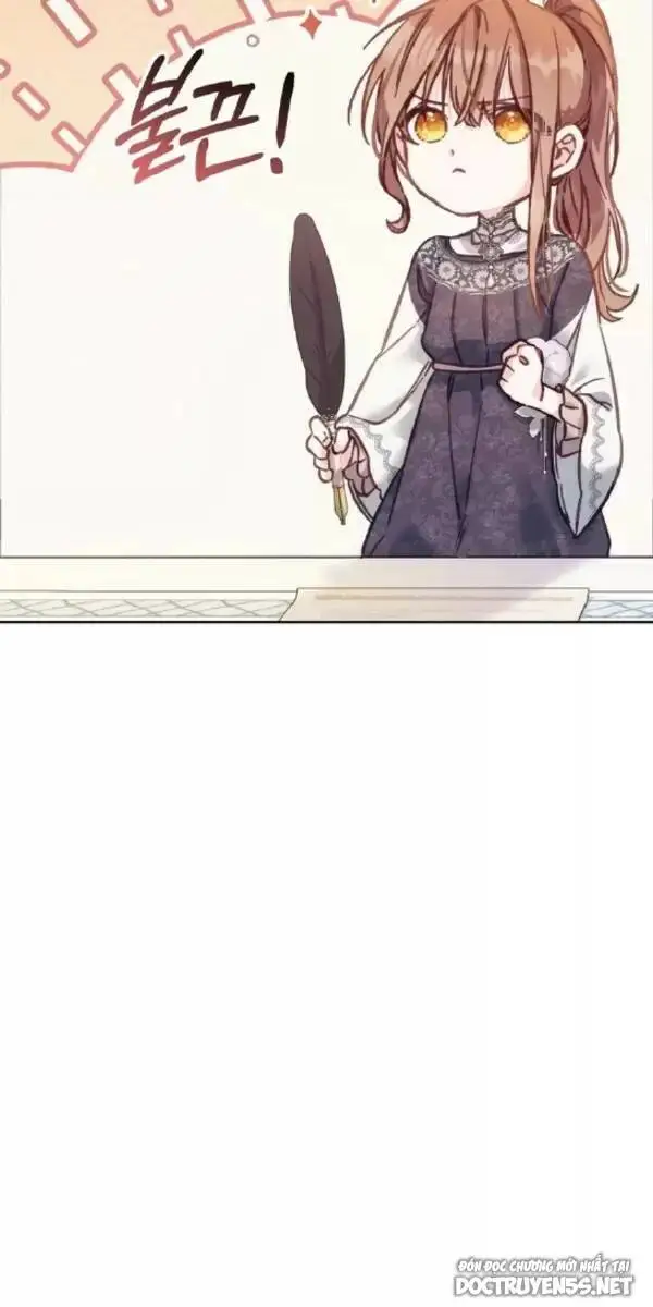 Chapter 13
