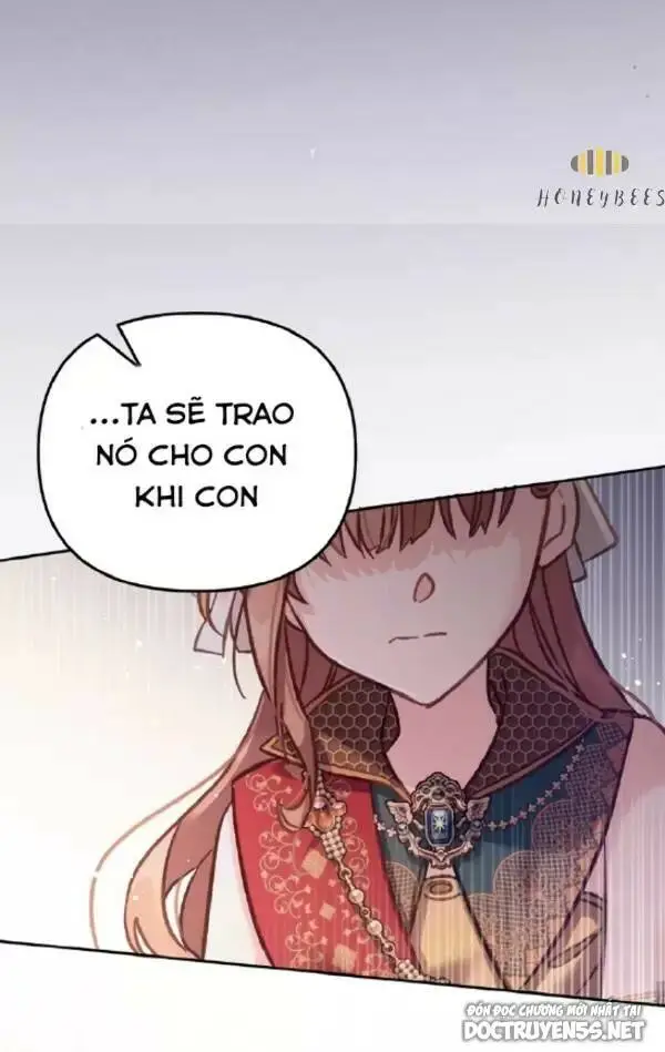 Chapter 13