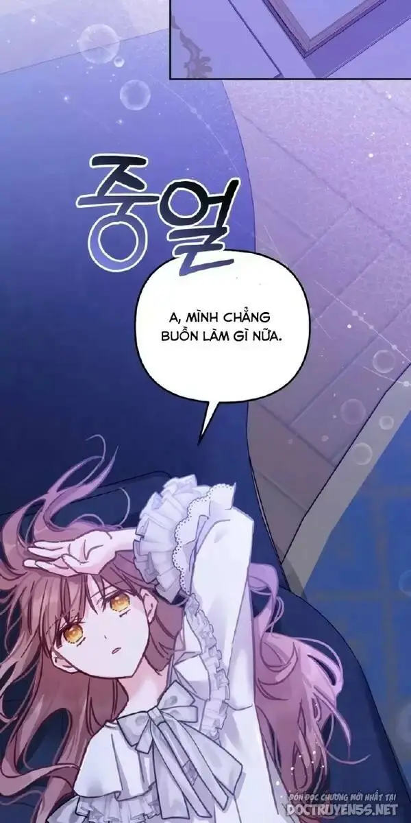 Chapter 13