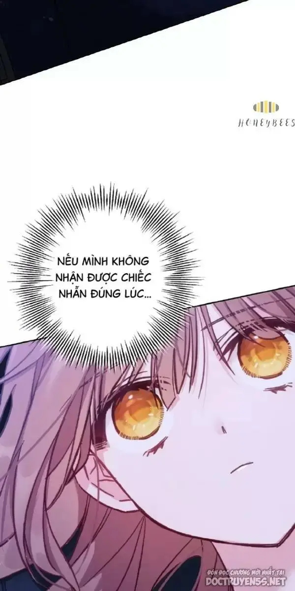 Chapter 13