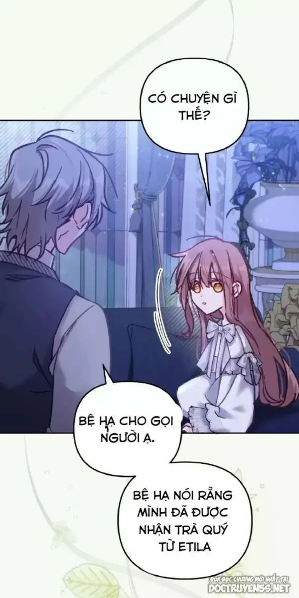 Chapter 13