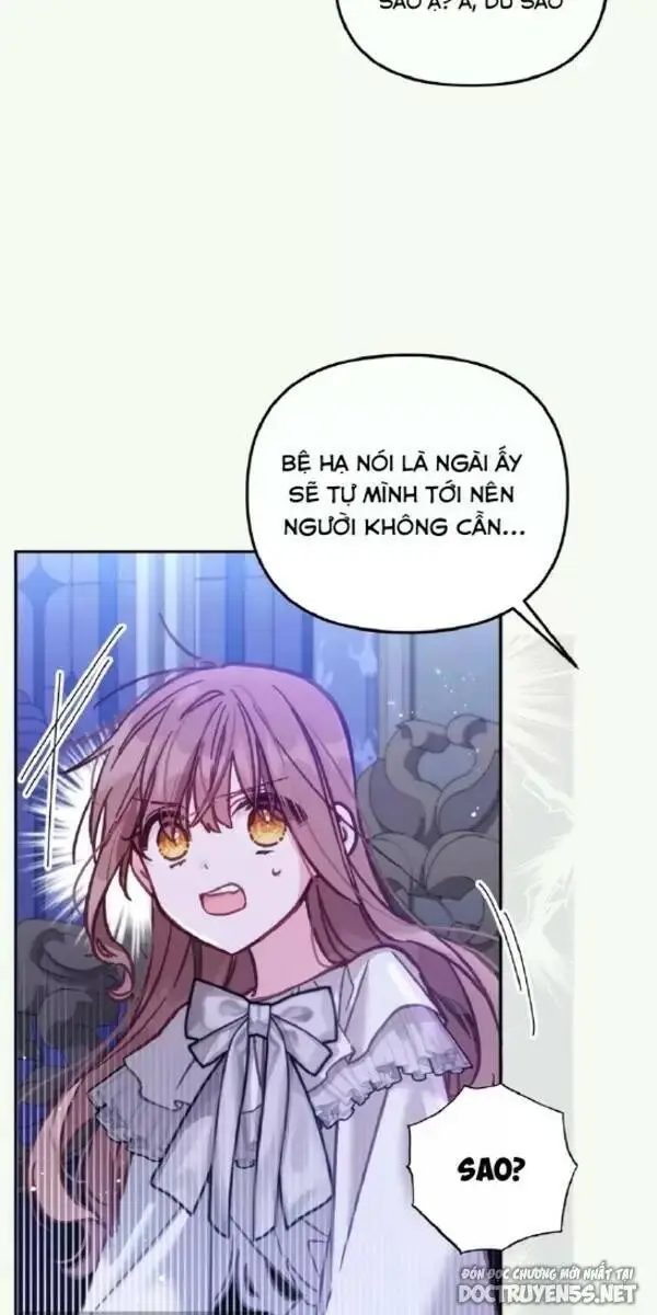 Chapter 13