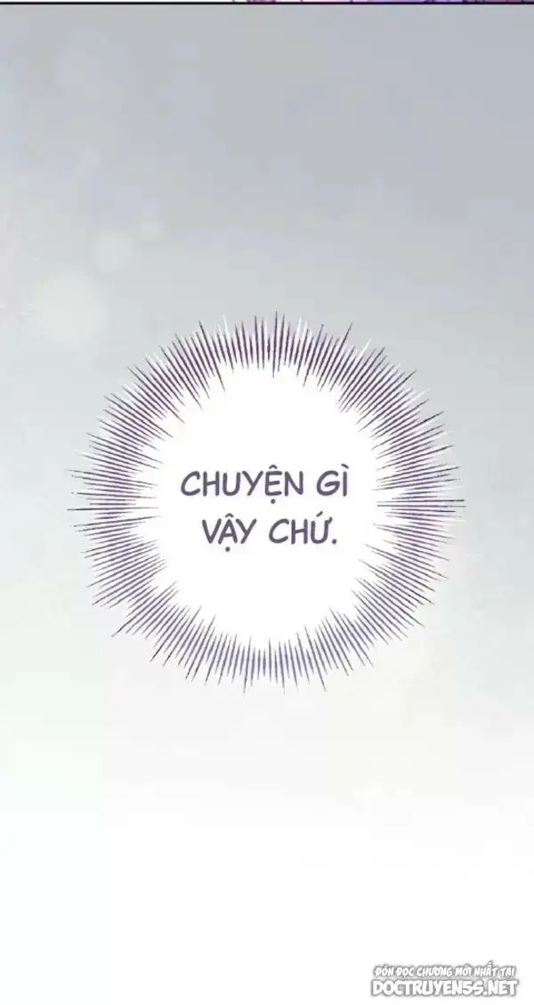 Chapter 13