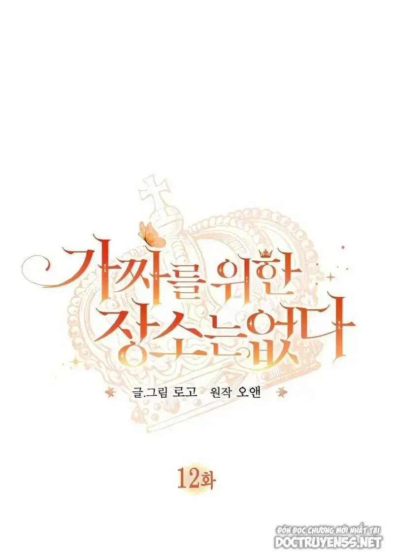 Chapter 12