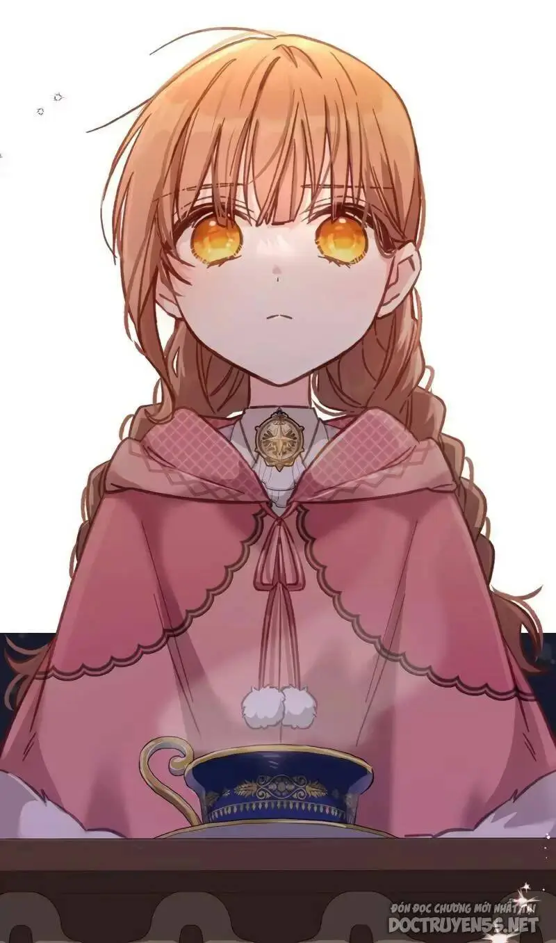 Chapter 12