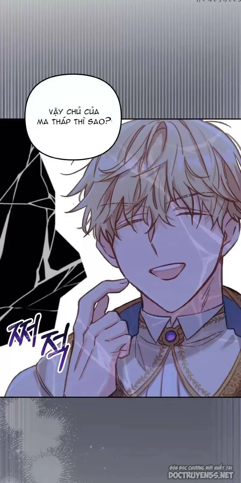 Chapter 12