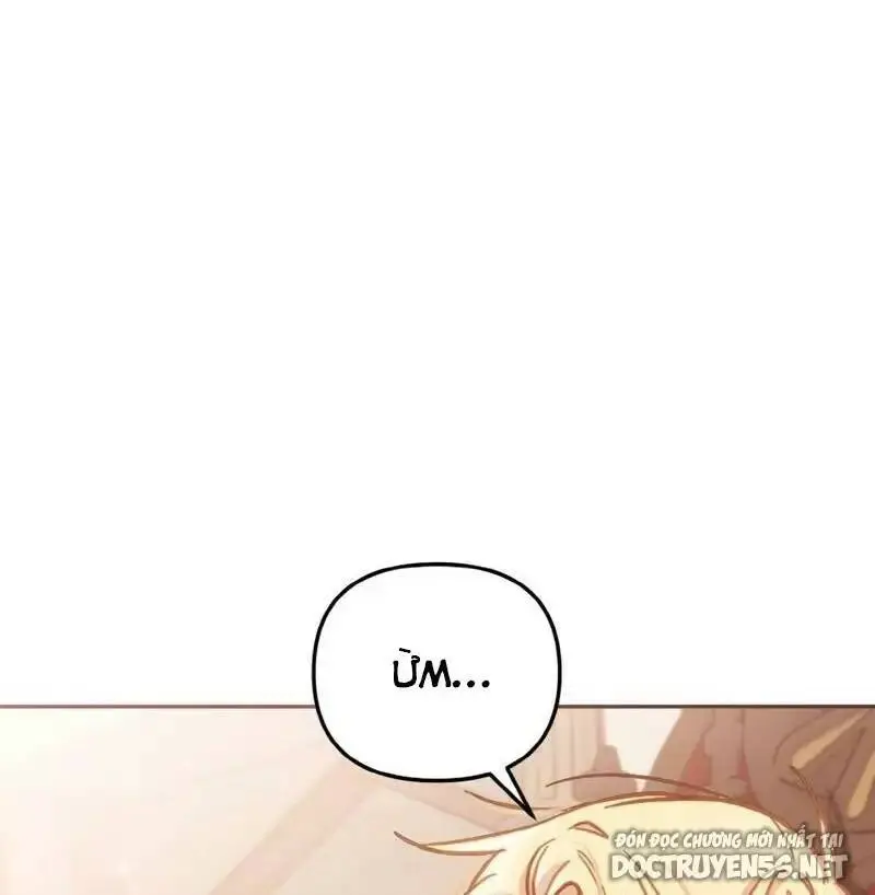 Chapter 11