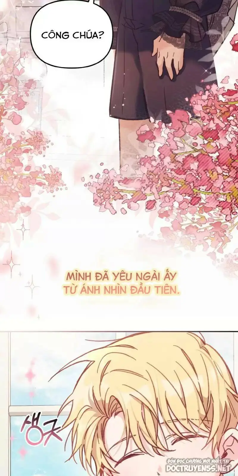 Chapter 11
