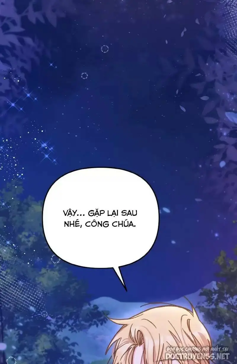 Chapter 11