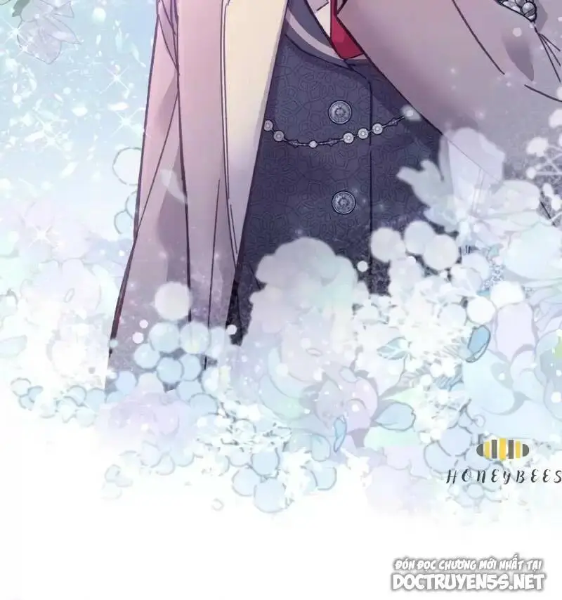 Chapter 11
