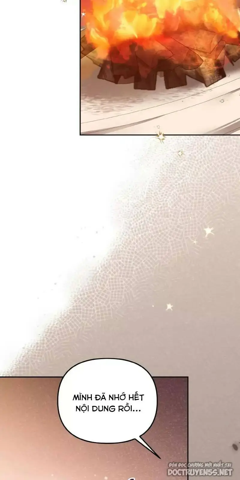 Chapter 11