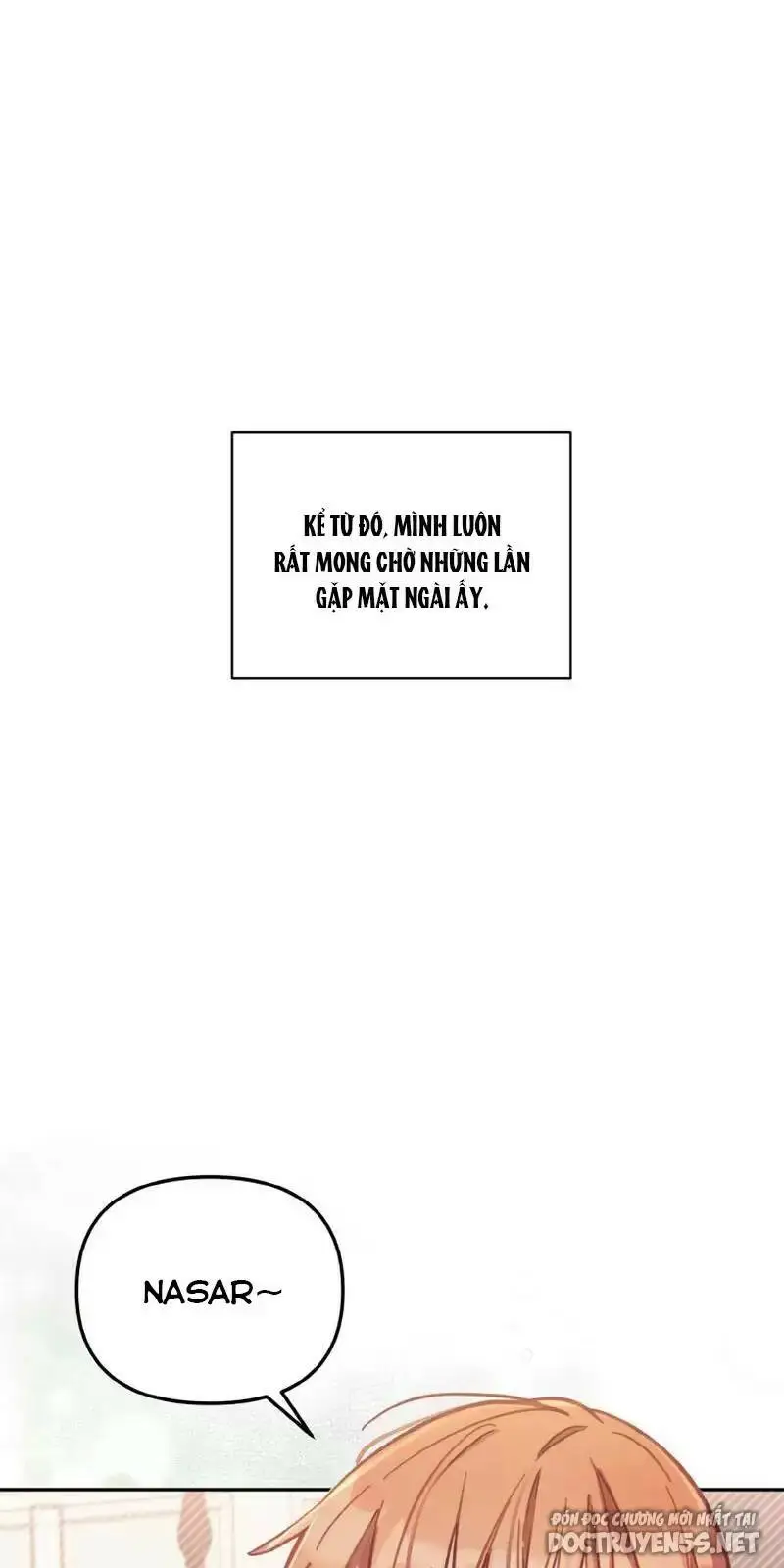 Chapter 11