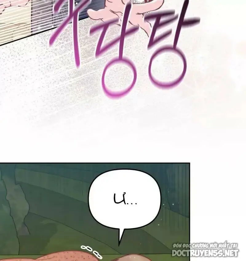 Chapter 10