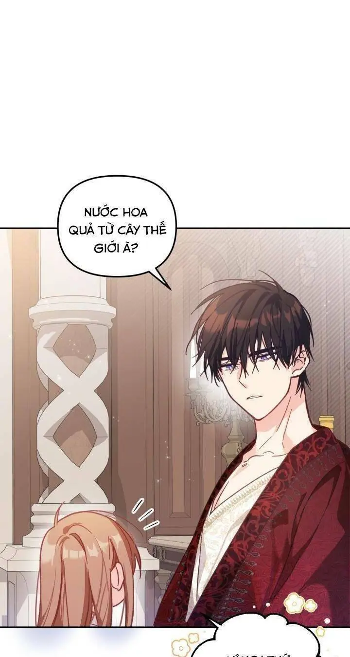 Chapter 8