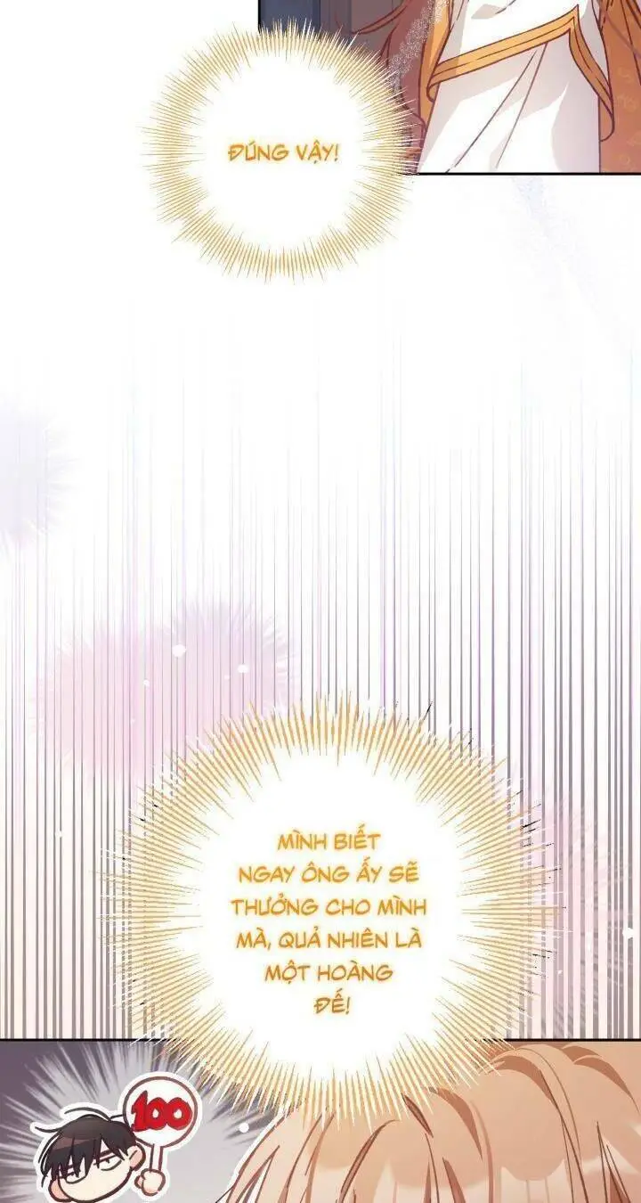 Chapter 8