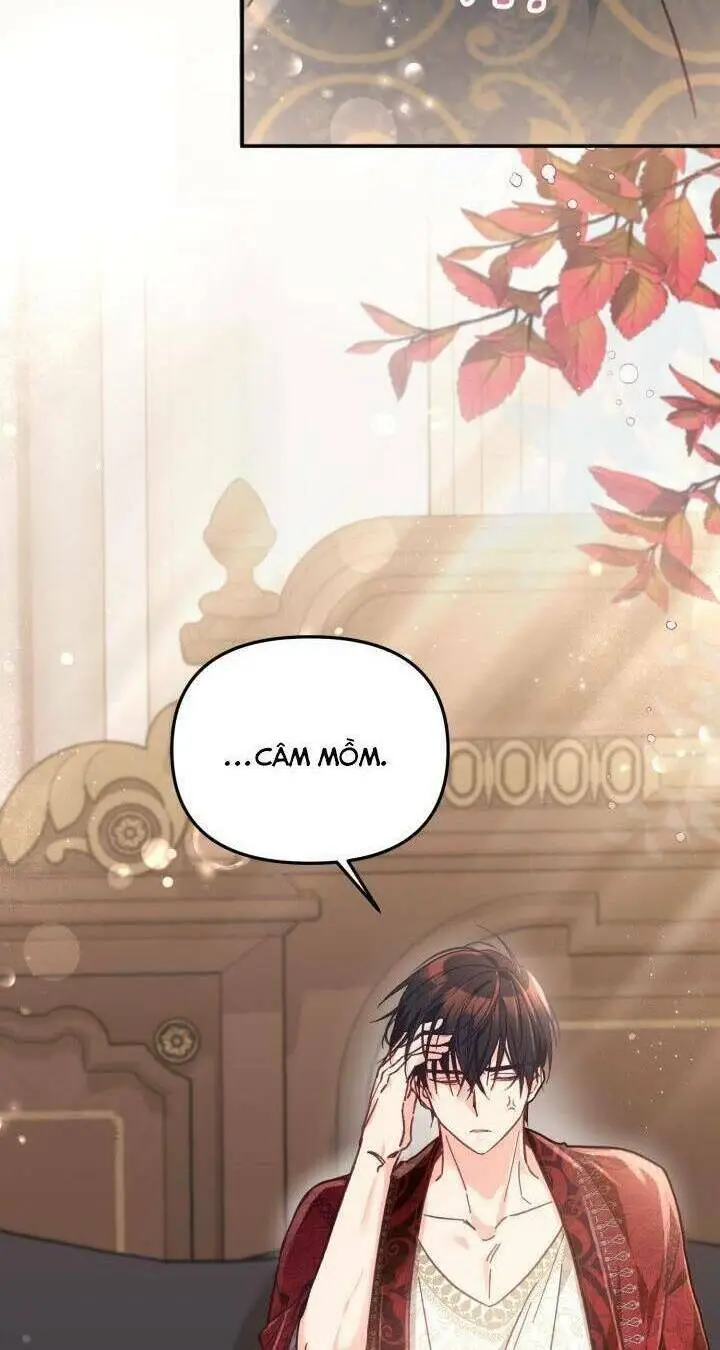 Chapter 8