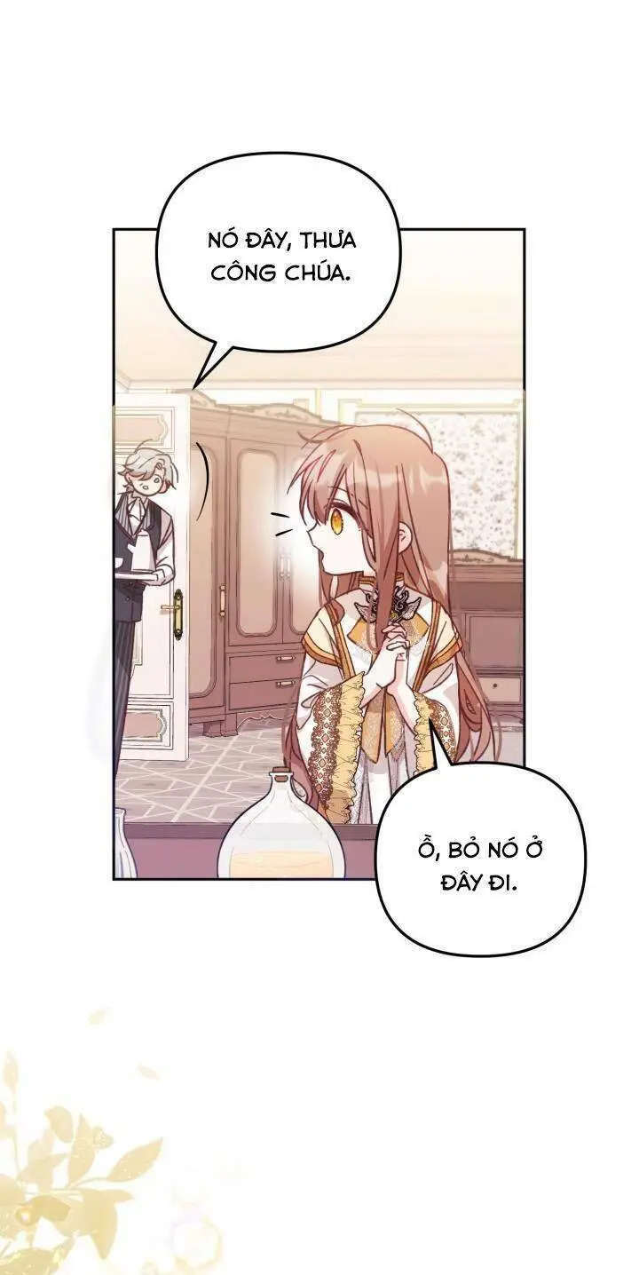 Chapter 7