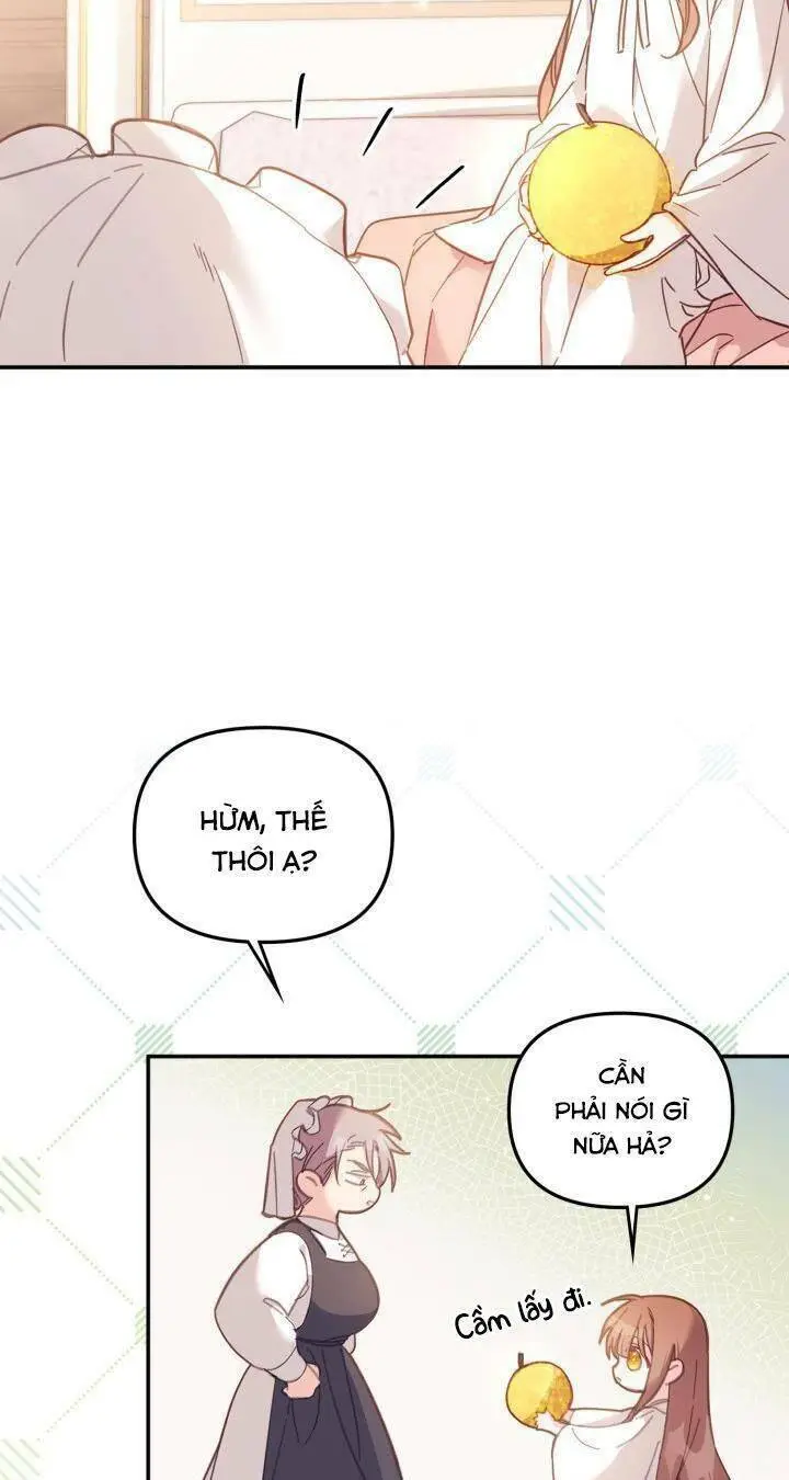 Chapter 5