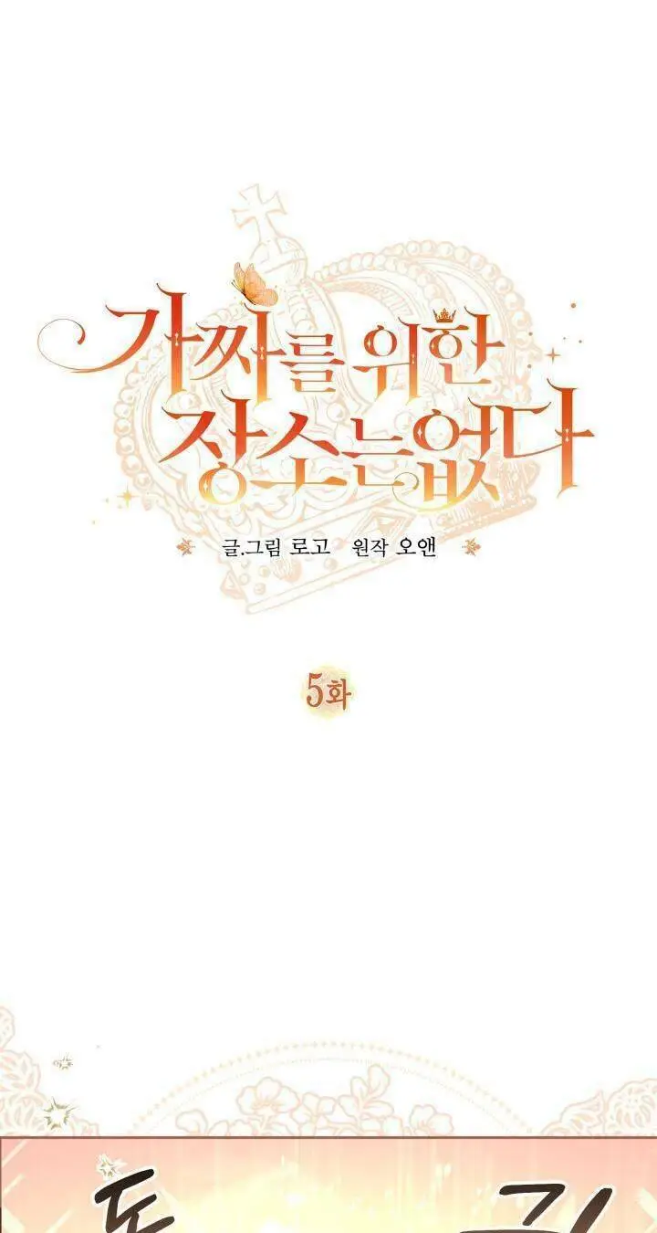 Chapter 5