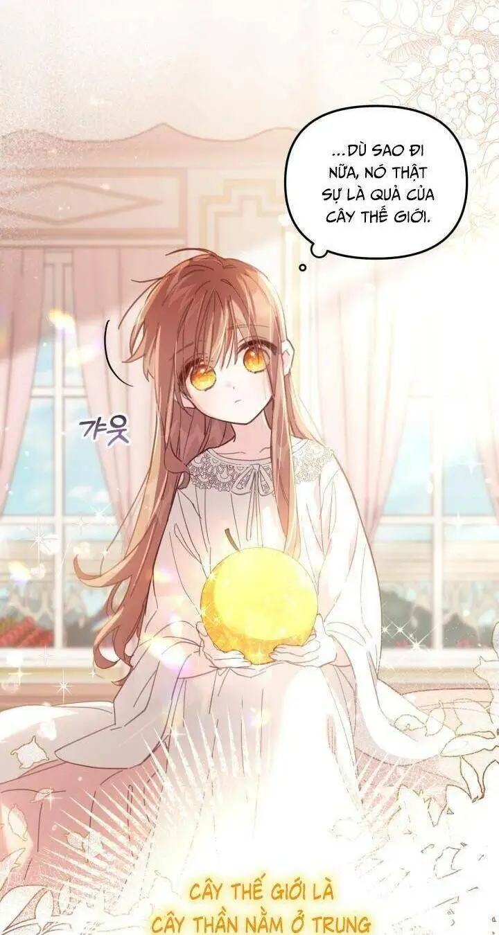 Chapter 5