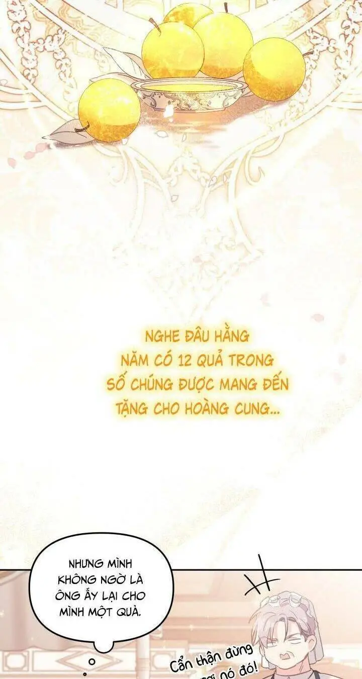 Chapter 5