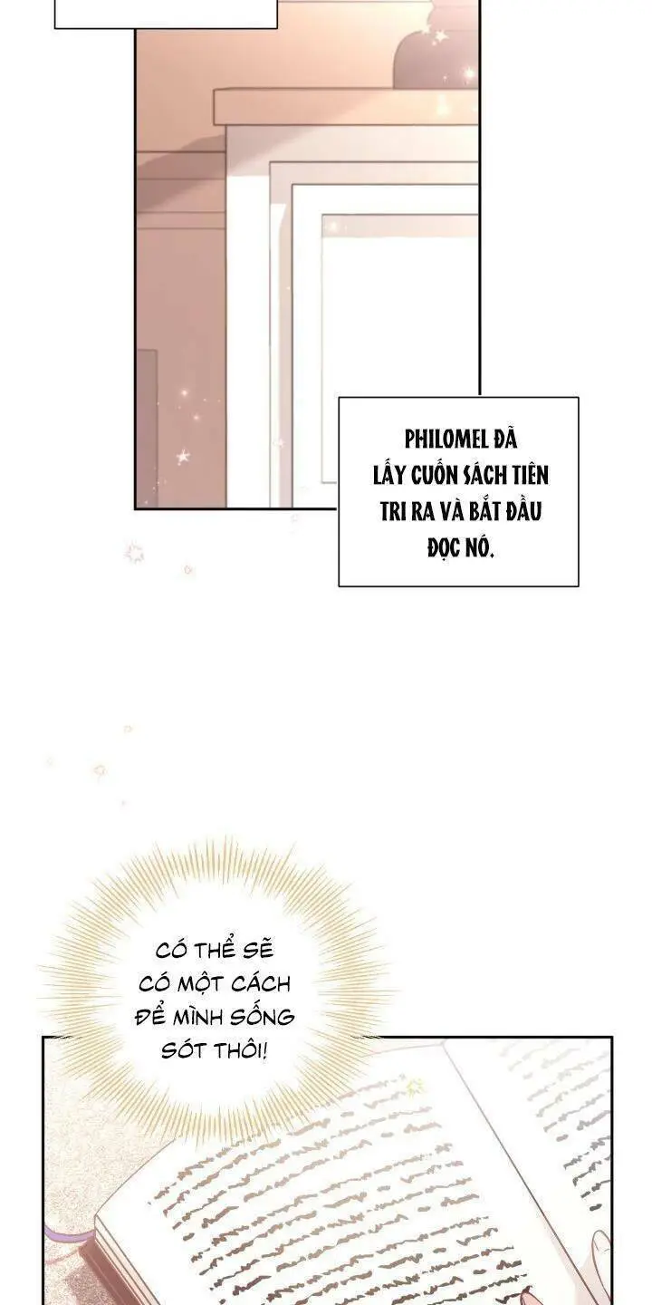 Chapter 4