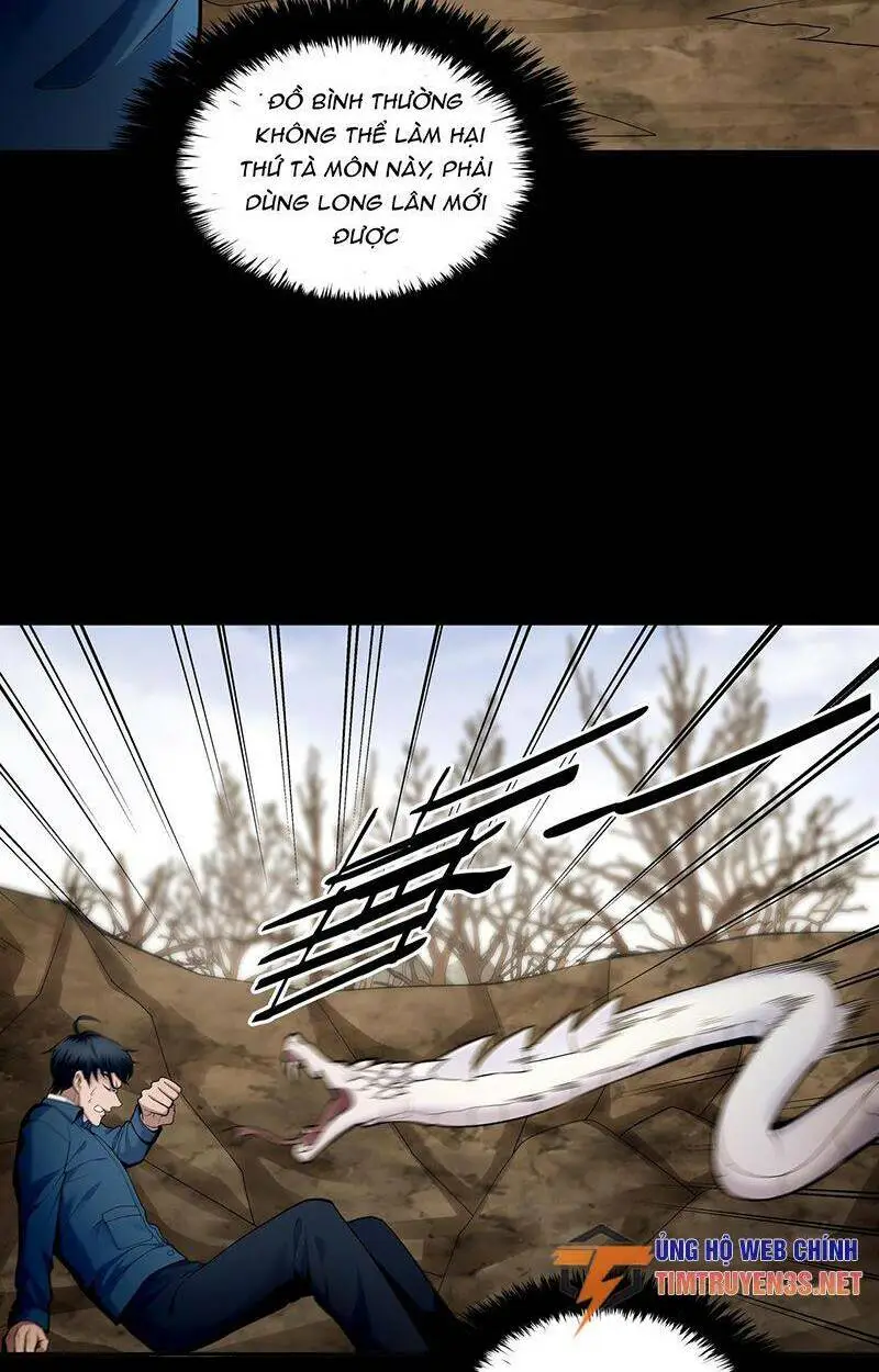 Chapter 19