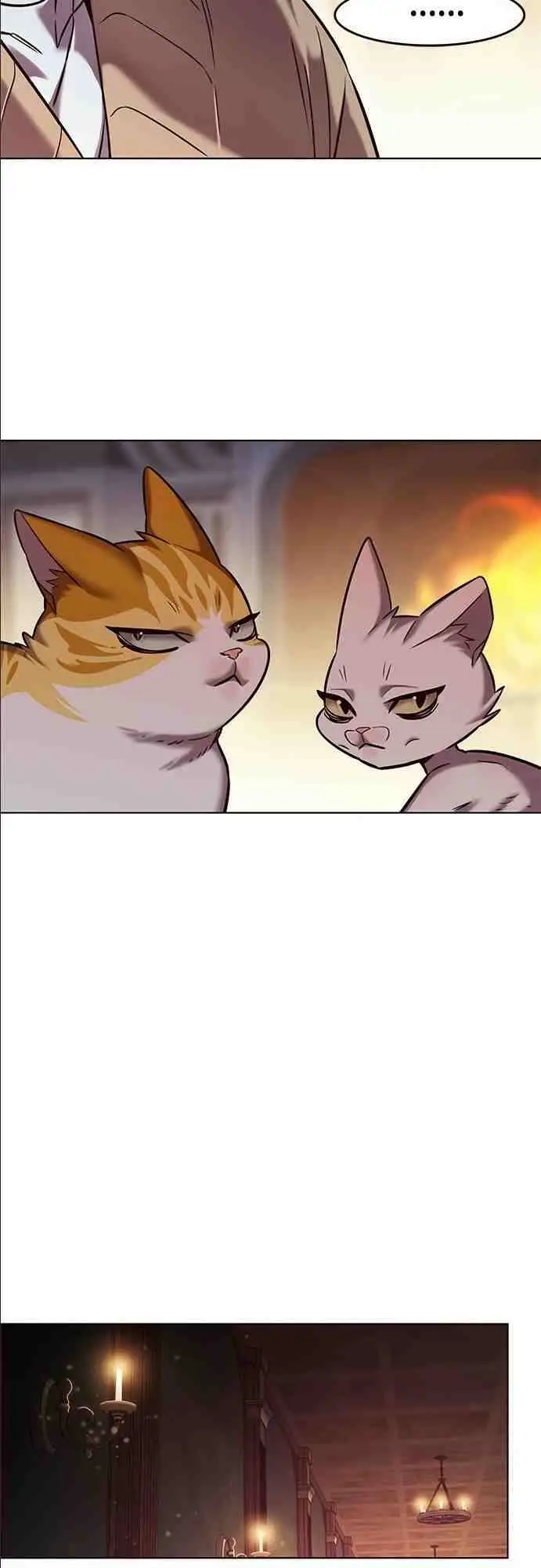 Chapter 255