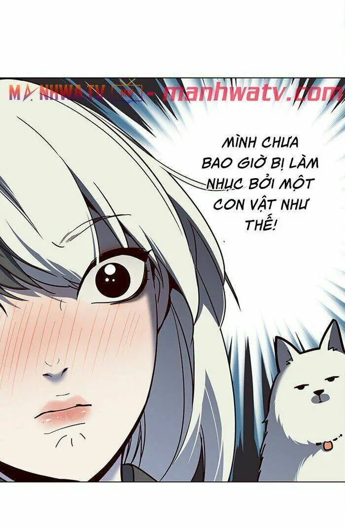 Chapter 81