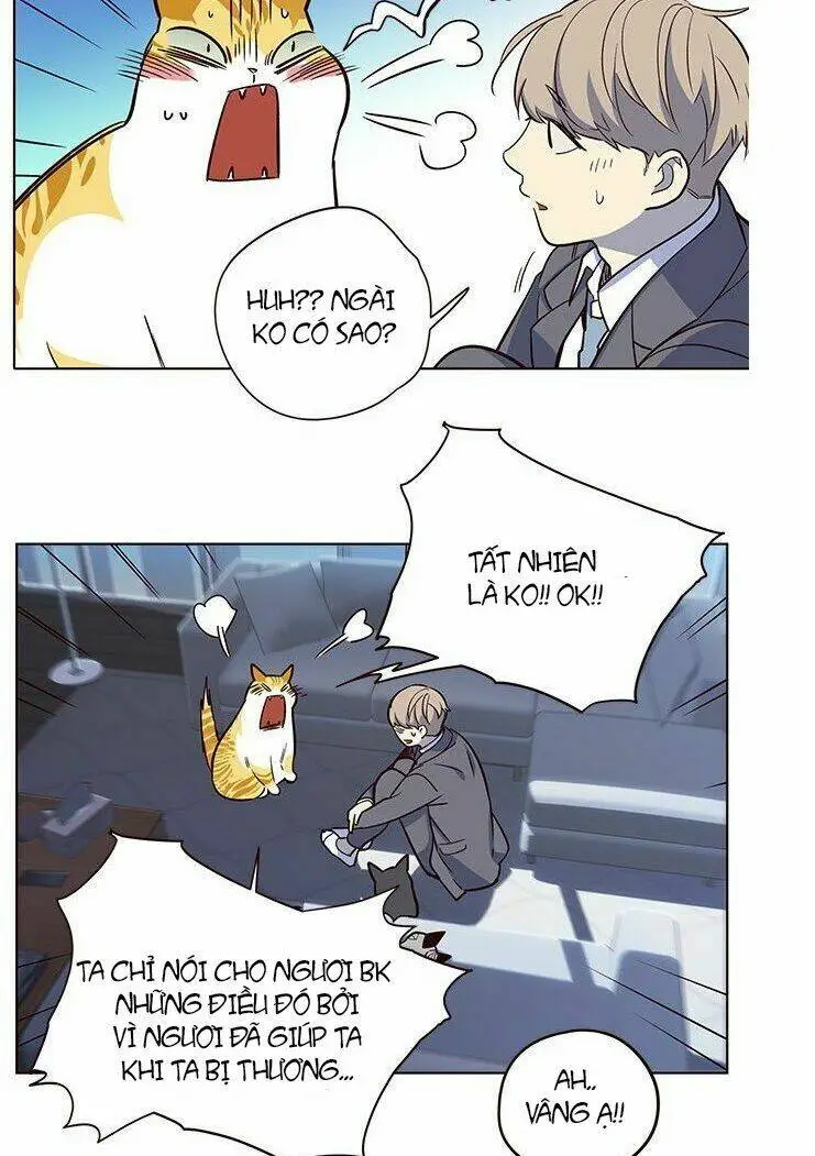 Chapter 8
