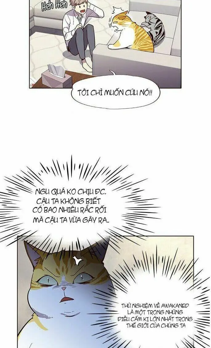 Chapter 6